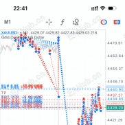 今晚五星，最大浮亏5000，盈利8000-EAHub外汇论坛