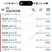MT4黄金一次一单ea 每单带止损止盈胜率高-EAHub外汇论坛