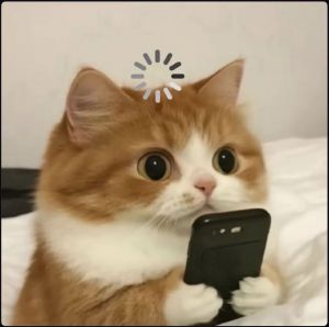 能不能送个ea给我玩玩～
球球了～-EAHub外汇论坛