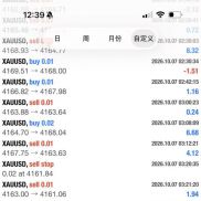 多账户长期稳定运行，收益和交易量双向奔赴，欢迎资管了解，策略均有源码可以提-EAHub外汇论坛