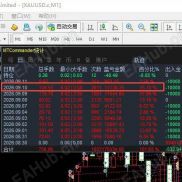 【盈渊量化3.0破解版】-EAHub外汇论坛
