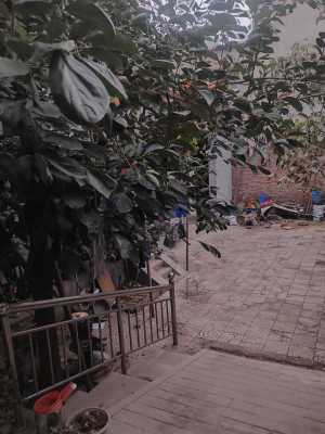 一场秋雨一场寒-EAHub外汇论坛