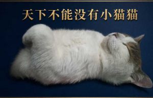 都不要拦我。我要去黄河边了-EAHub外汇论坛
