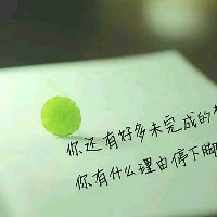 luiz的头像