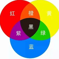 netbee的头像