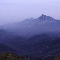 sdzplxy的头像