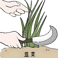 sweetfree的头像