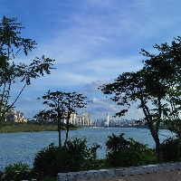 fta25的头像