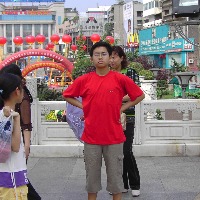 夜雾启明的头像