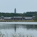 joriyzhou