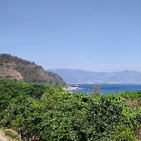 Lhycyht888的头像