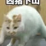 clb123的头像