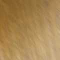 601438179