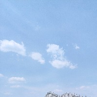 lfc96的头像