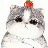 cedar_qi