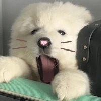 2241440195的头像