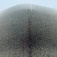 115699739的头像