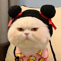 1503990973的头像