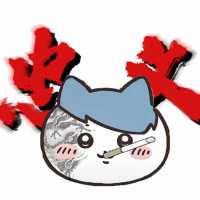 bosir44944的头像