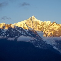 13531702522的头像
