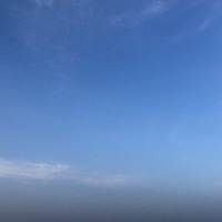 shang123321的头像