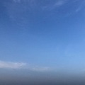 shang123321
