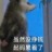 pengpeng