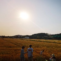 黑小白的头像