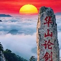 阿鹏聊交易