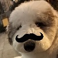 xuegao