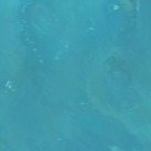 wp1160003044的头像
