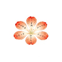 hanzhouyan的头像