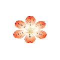 hanzhouyan