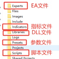 lnx1991的头像