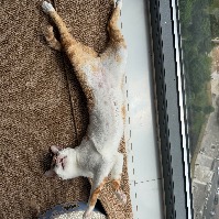 黄思慧的头像