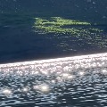 诺亚方舟xy