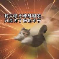 阿雷克斯的头像