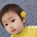 zhangliu