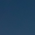12390023
