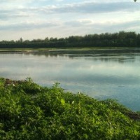 jiaolizheng的头像
