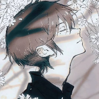 shellII的头像