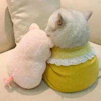 yunyuan0102的头像