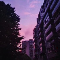 clover2的头像