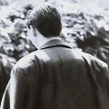 陈安
