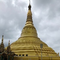 y78655600的头像