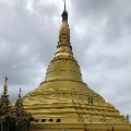 y78655600