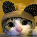 xyy