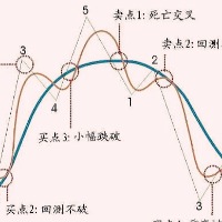 sxdbug的头像